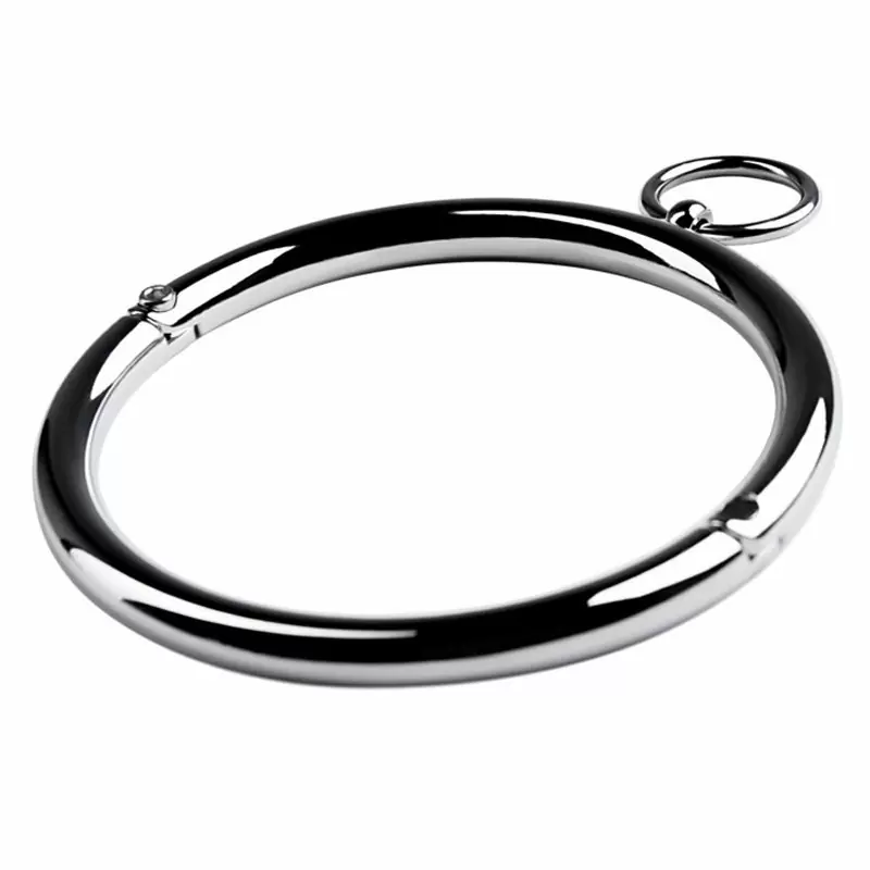 Металлический ошейник с маленьким колечком Toyfa Metal – серебристый