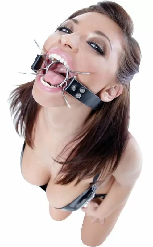 Расширитель для рта Spider