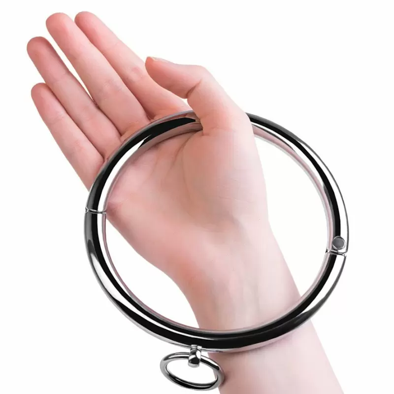 Металлический ошейник с маленьким колечком Toyfa Metal – серебристый