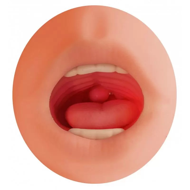 Двойной мастурбатор вагина-ротик Satisfaction Morning Angel – телесный