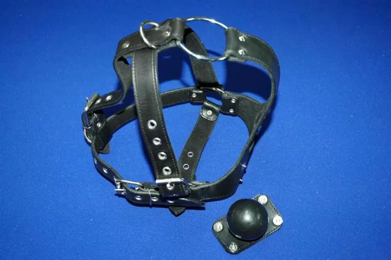 Уздечка с кляпом «Обуздай меня-2»