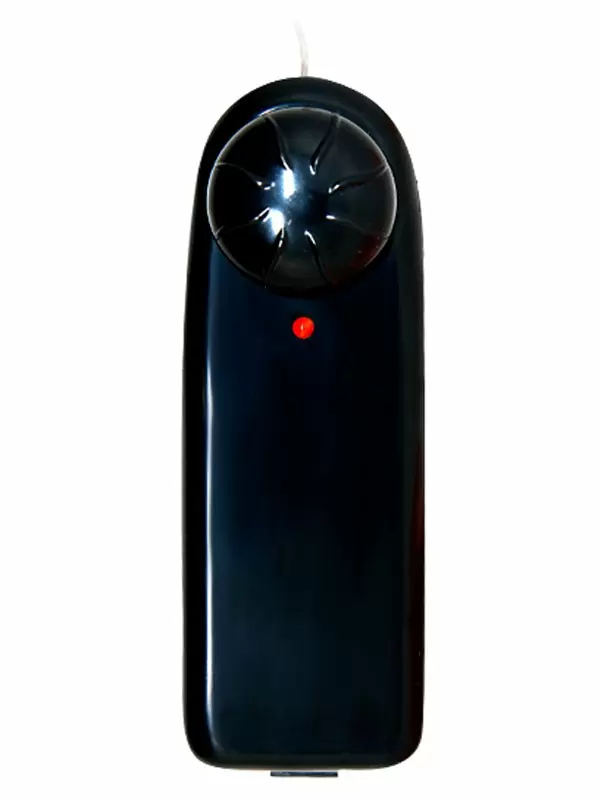 Реалистичный вибратор Baile Temptation Bigger man, 17,5 см, с миниторсом, с проводным пультом, телесный