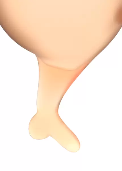 Набор менструальных чаш Satisfyer Feel secure Menstrual Cup, 15 и 20 мл, силикон, оранжевый