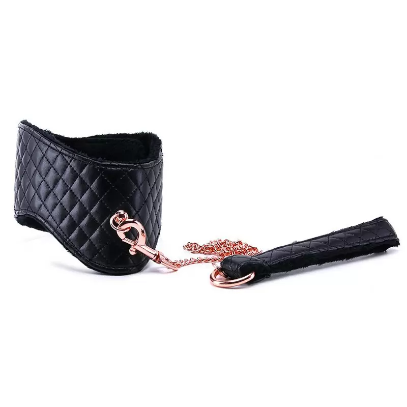 Ошейник Entice Posture Collar with Leash с поводком – черный