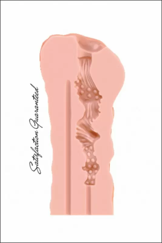 Мастурбатор Satisfaction Night Wish 2001-03Lola